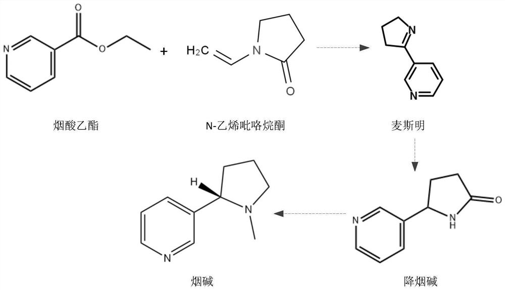 Preparation method of high-purity L-nicotine medical intermediate