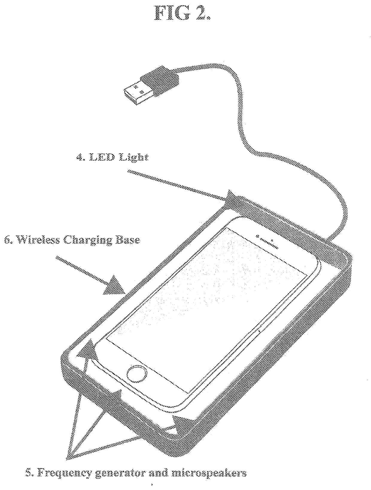 Privacy protection system for electronic devices