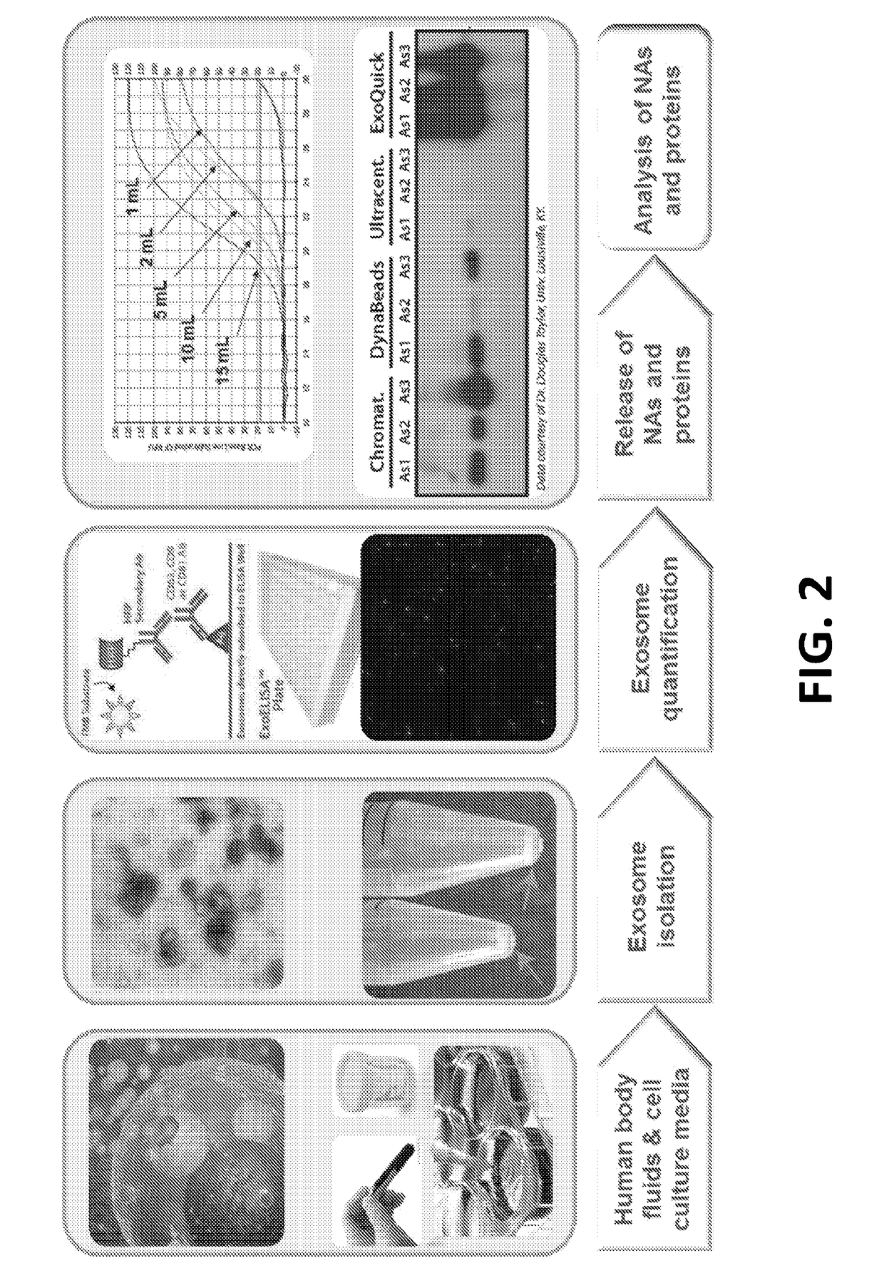 Exosome-Total-Isolation-Chip (ExoTIC) Device for Isolation of Exosome-Based Biomarkers