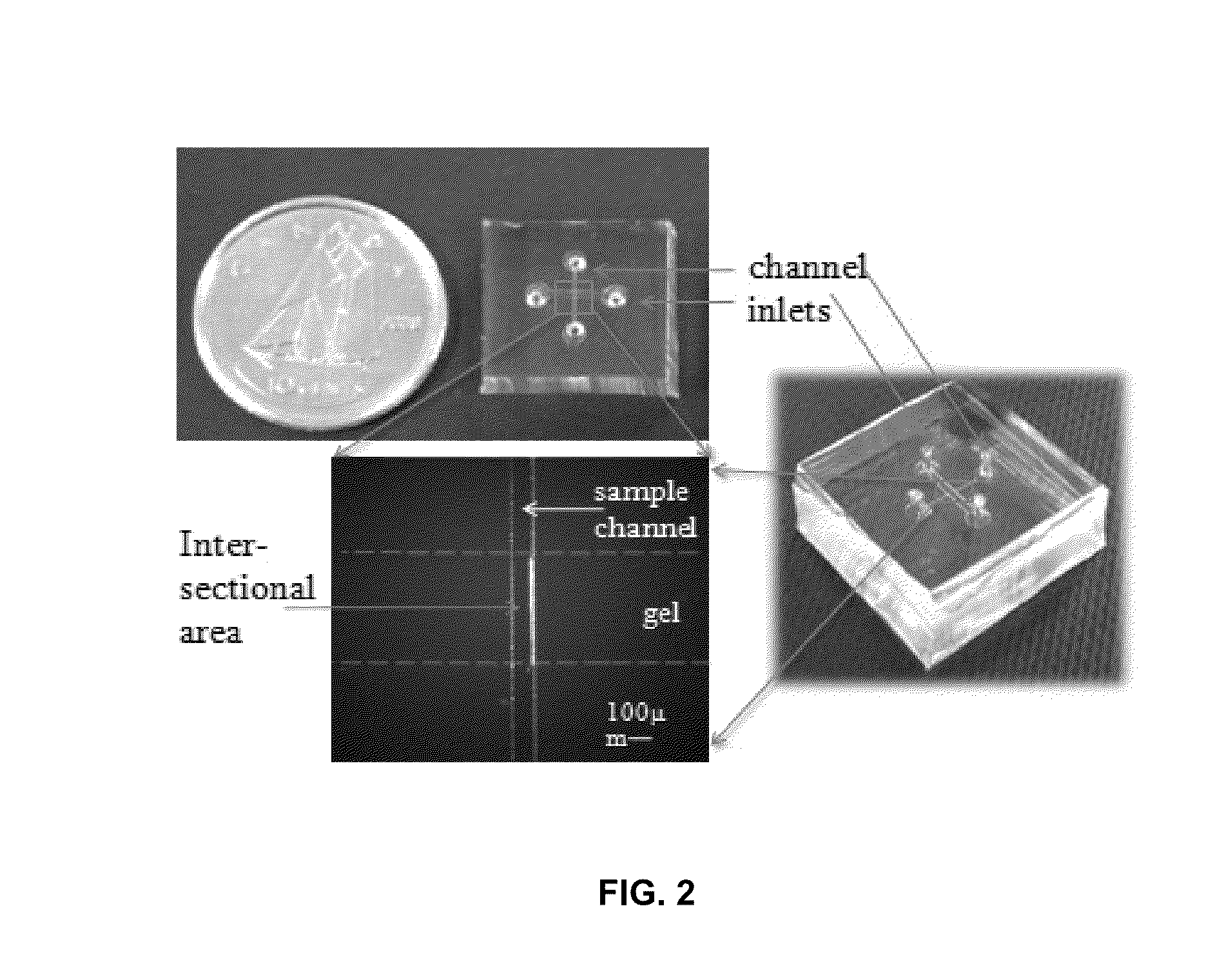 Microfluidic device for detecting nucleic acids and associated methods