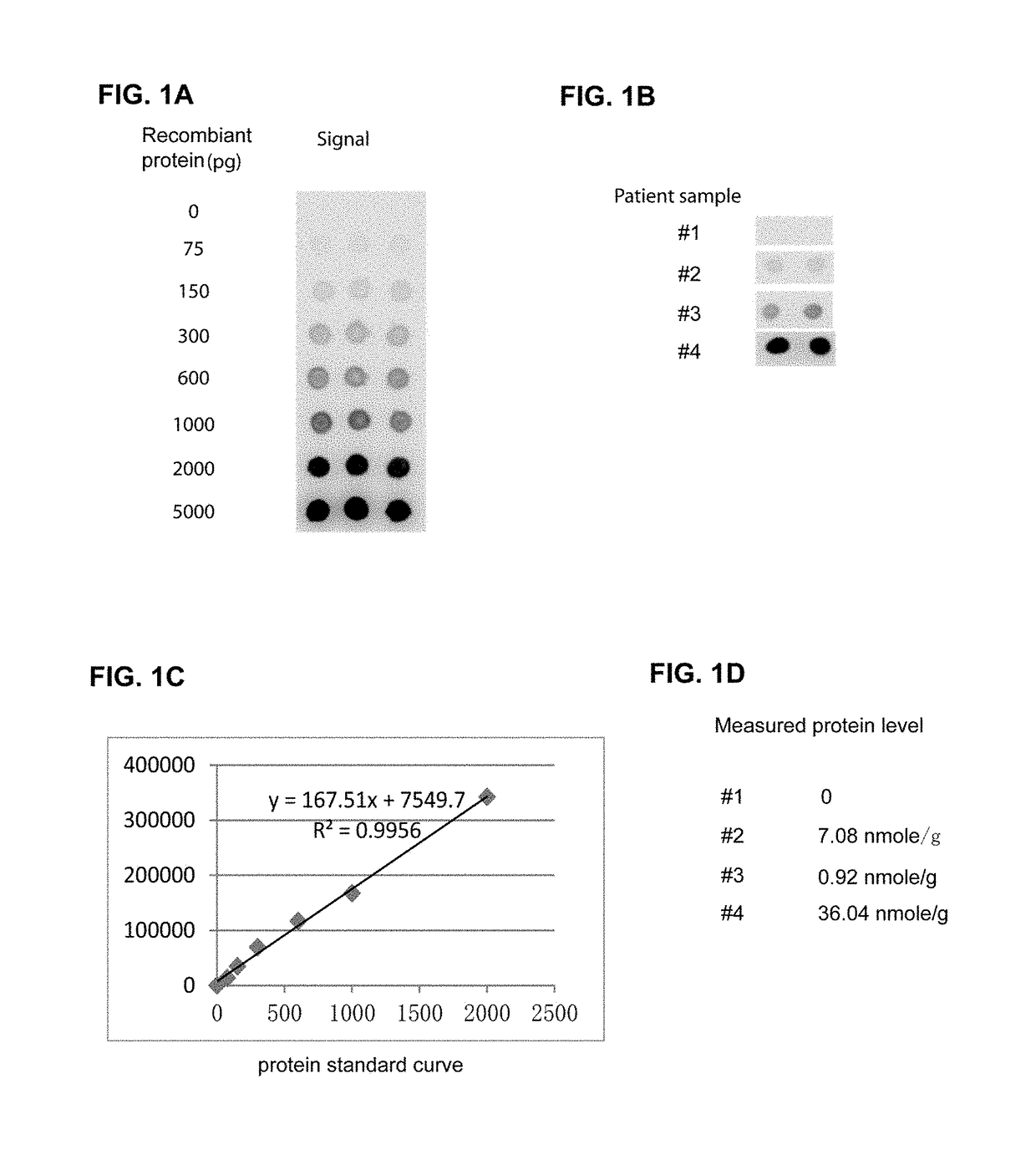 Apparatus and method for absolute quantification of biomarkers for solid tumor diagnosis