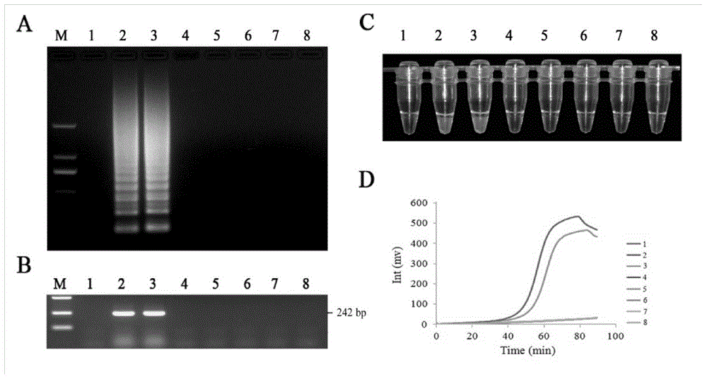 Method for Quantitative Detection of Banana Fusarium wilt Race 4 from Soil