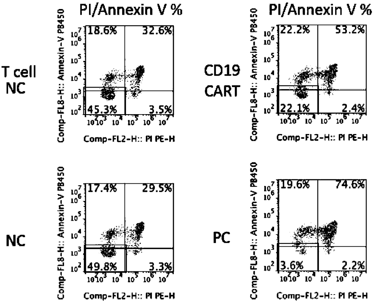 Double chimeric antigen receptor gene-modified immune cell based on CD19 and BCMA and application thereof