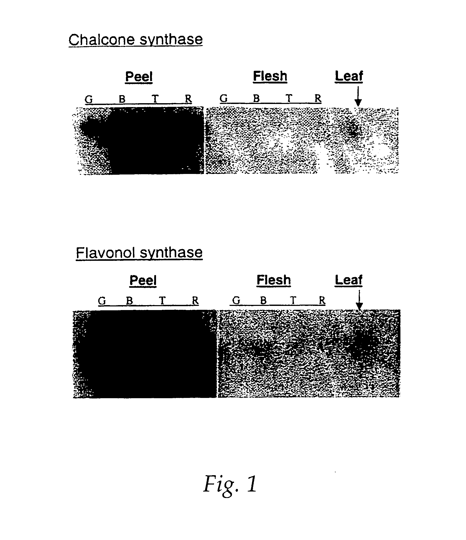 Process for increasing the flavonoid content of a plant and plants obtainable thereby