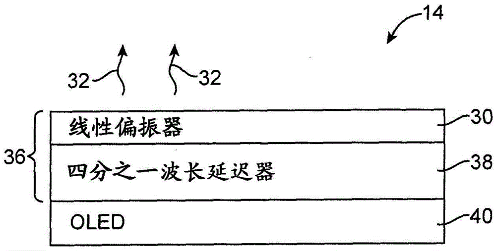 Electronic devices with flexible glass polarizers