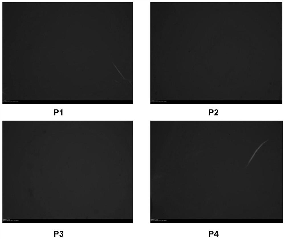 A kind of random copolymer based on natural cholesterol, preparation method and application thereof