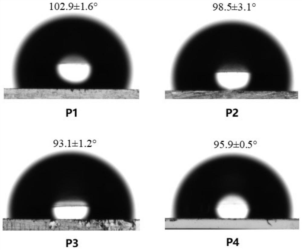 A kind of random copolymer based on natural cholesterol, preparation method and application thereof