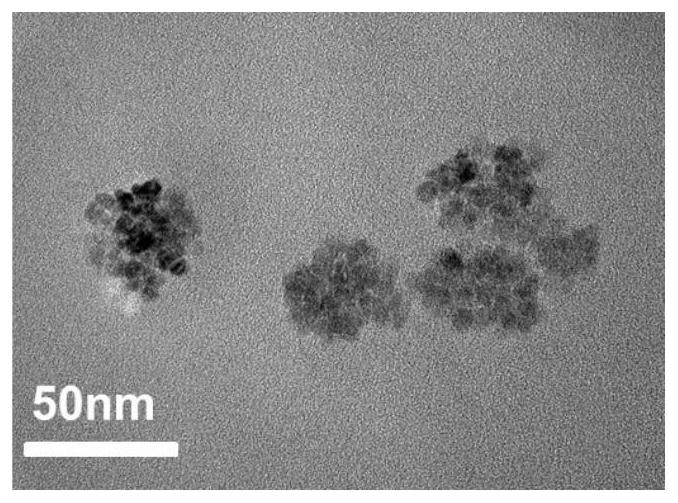 Magnetic nano-drug carrier based on porous gadolinium-doped iron oxide nano-cluster and preparation method of magnetic nano-drug carrier