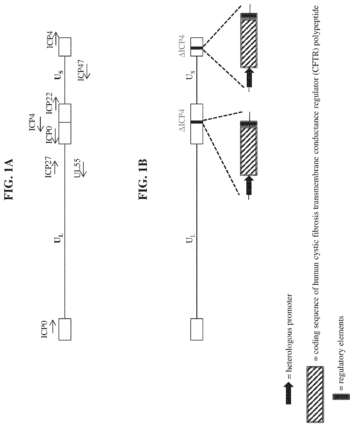 Compositions and methods for delivering cftr polypeptides