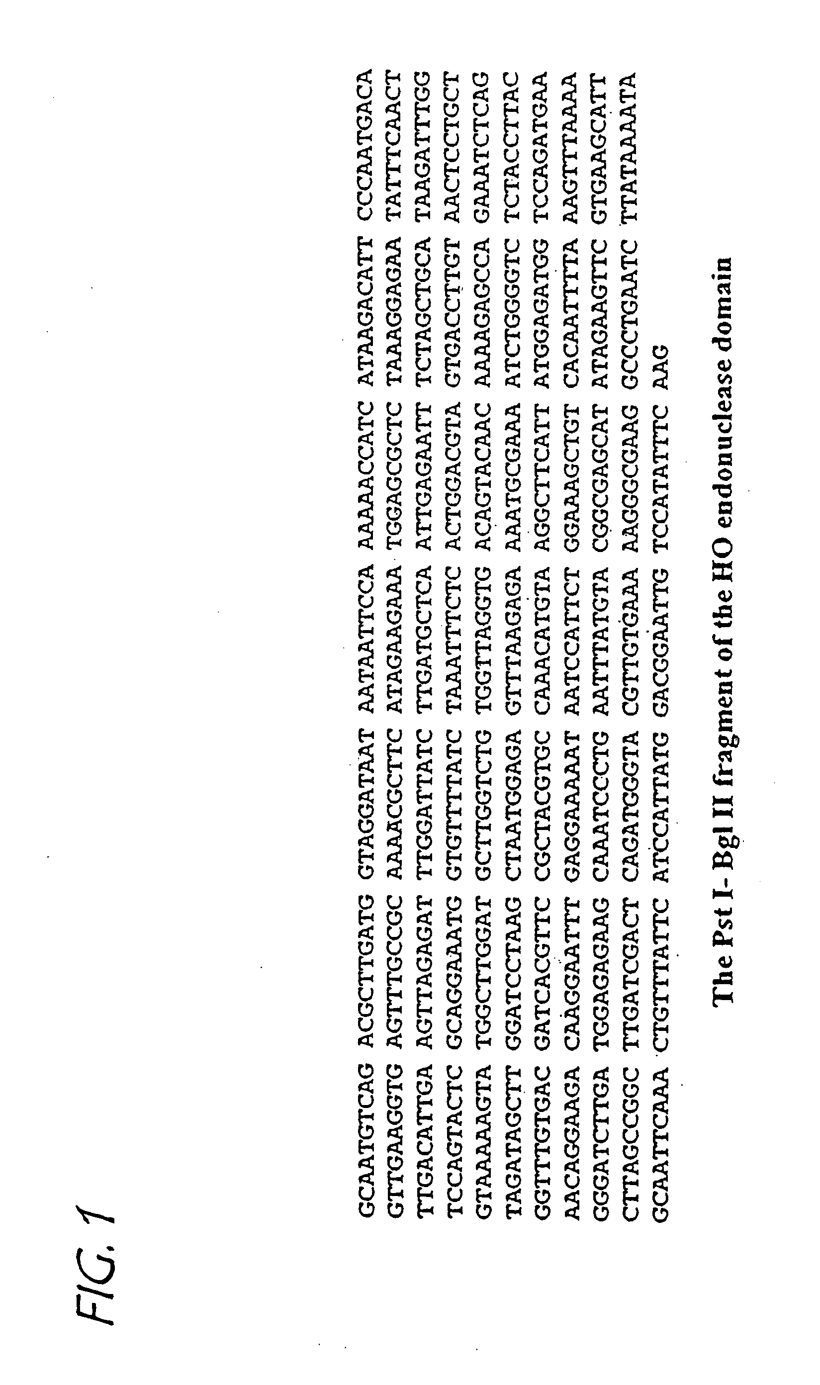Methods and compositions for using zinc finger endonucleases to enhance homologous recombination