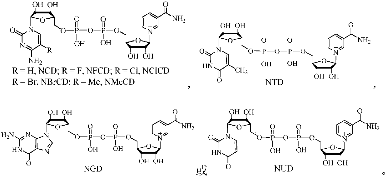 Method for producing 1,3-propanediol by biologically catalyzing glycerol