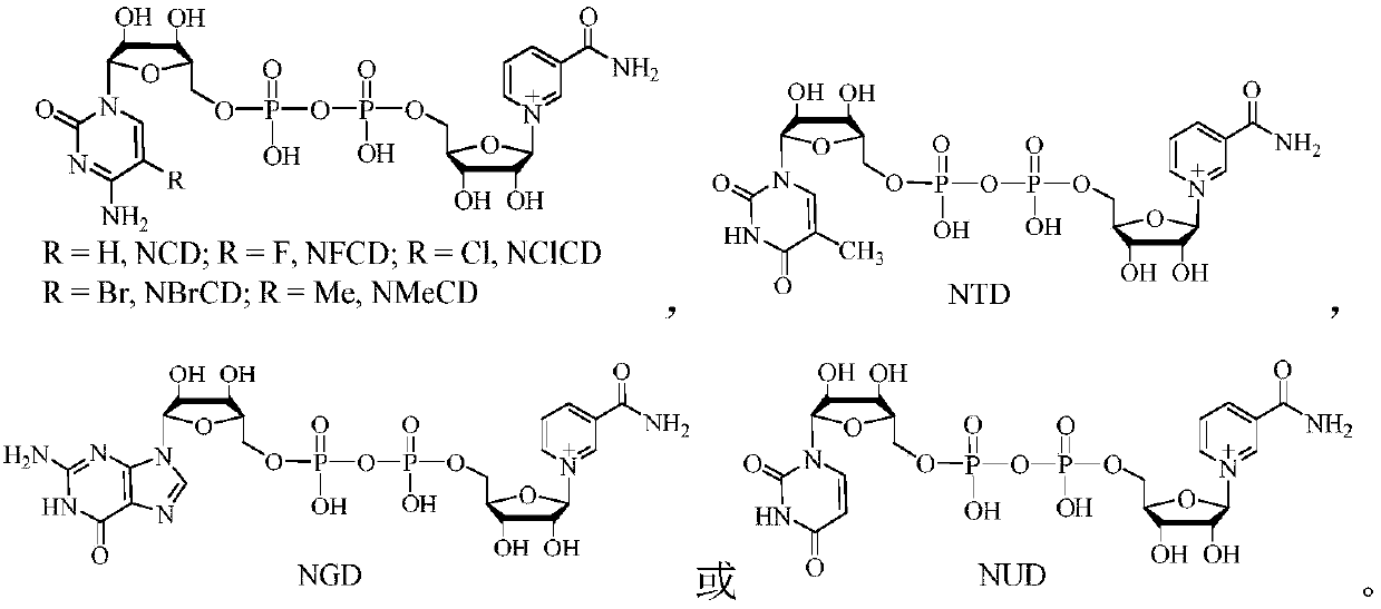 Method for producing 1,3-propanediol by biologically catalyzing glycerol