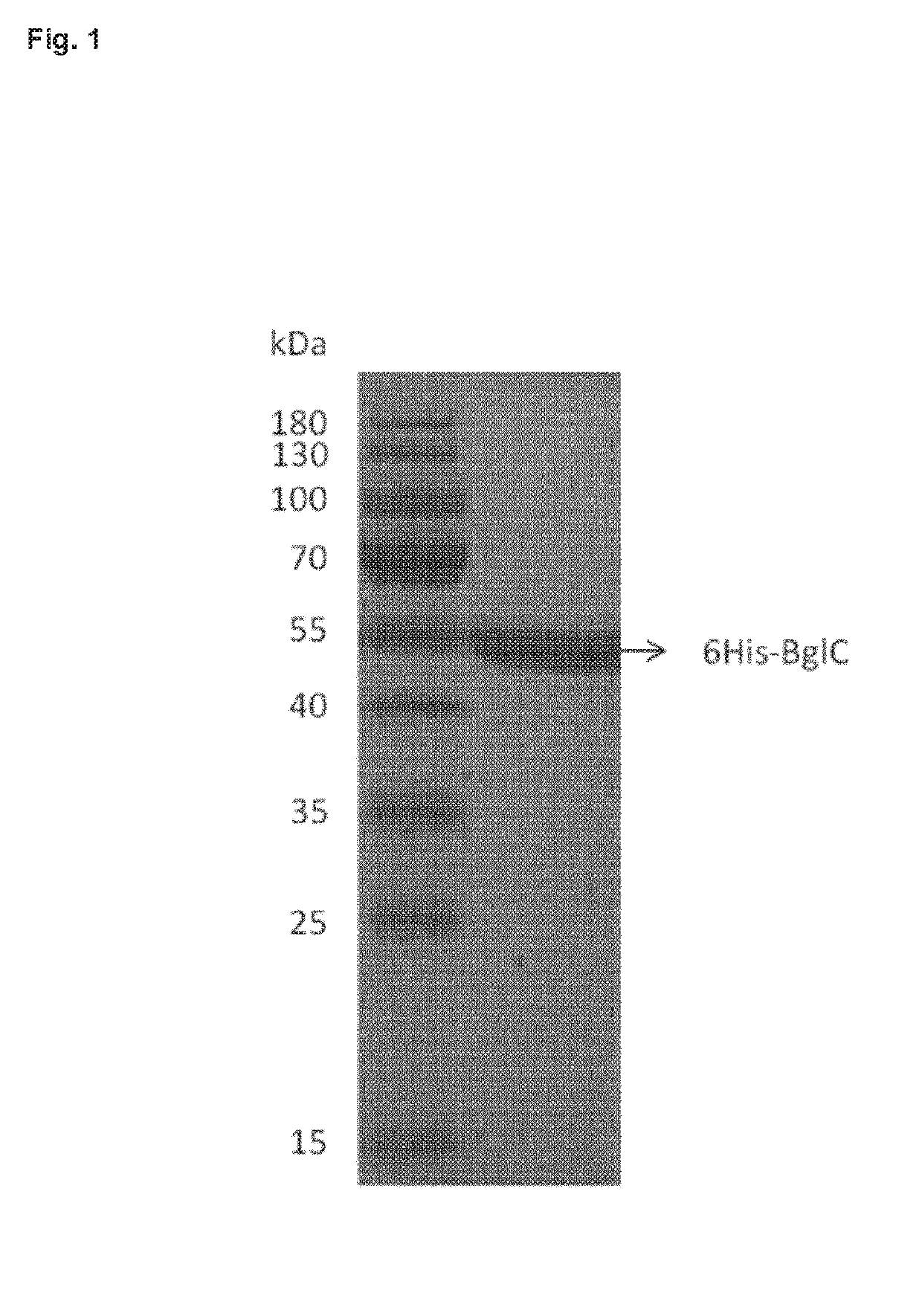 Use of a sugar tolerant beta-glucosidase