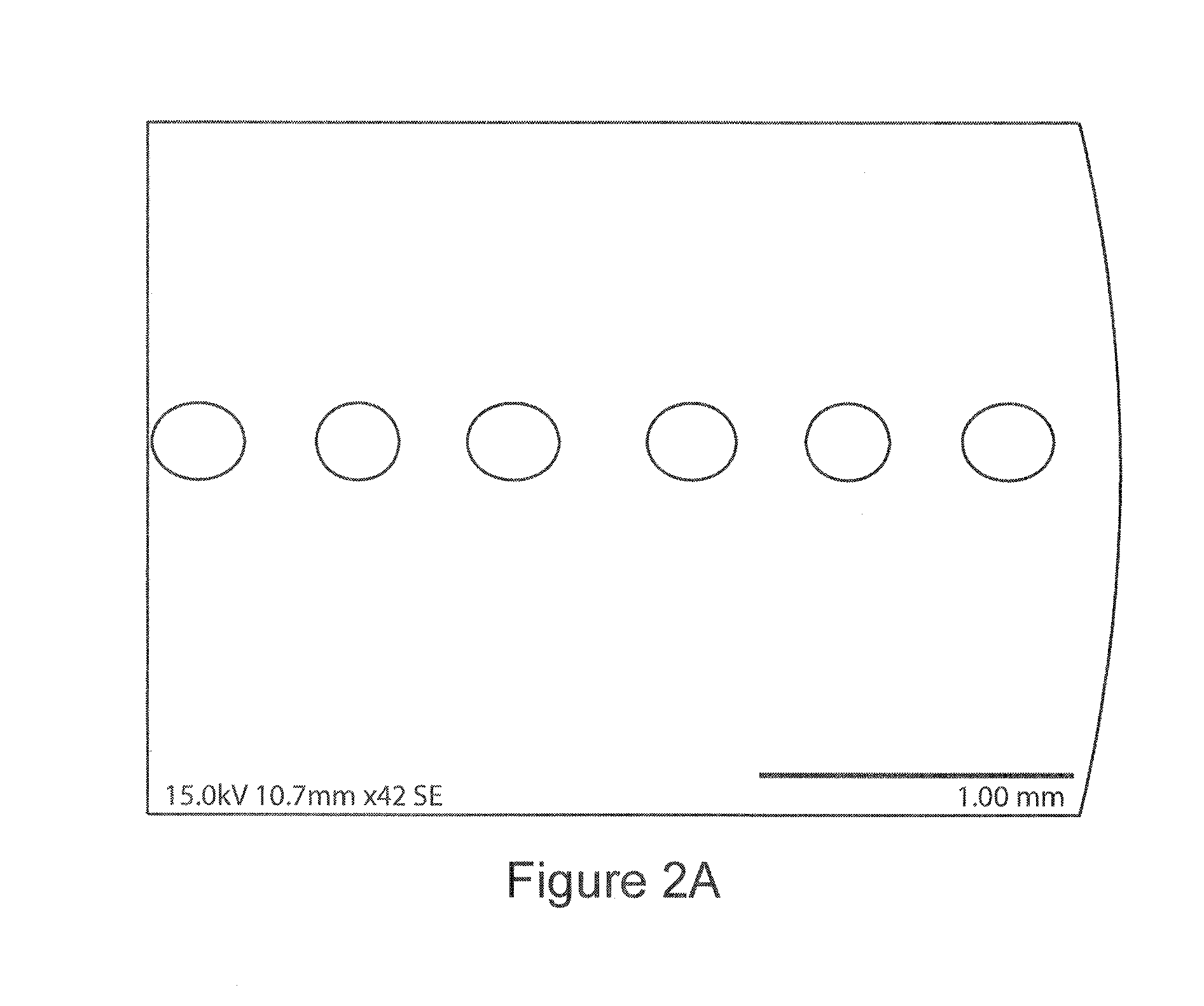 Biomedical implantable material and methods of producing the same