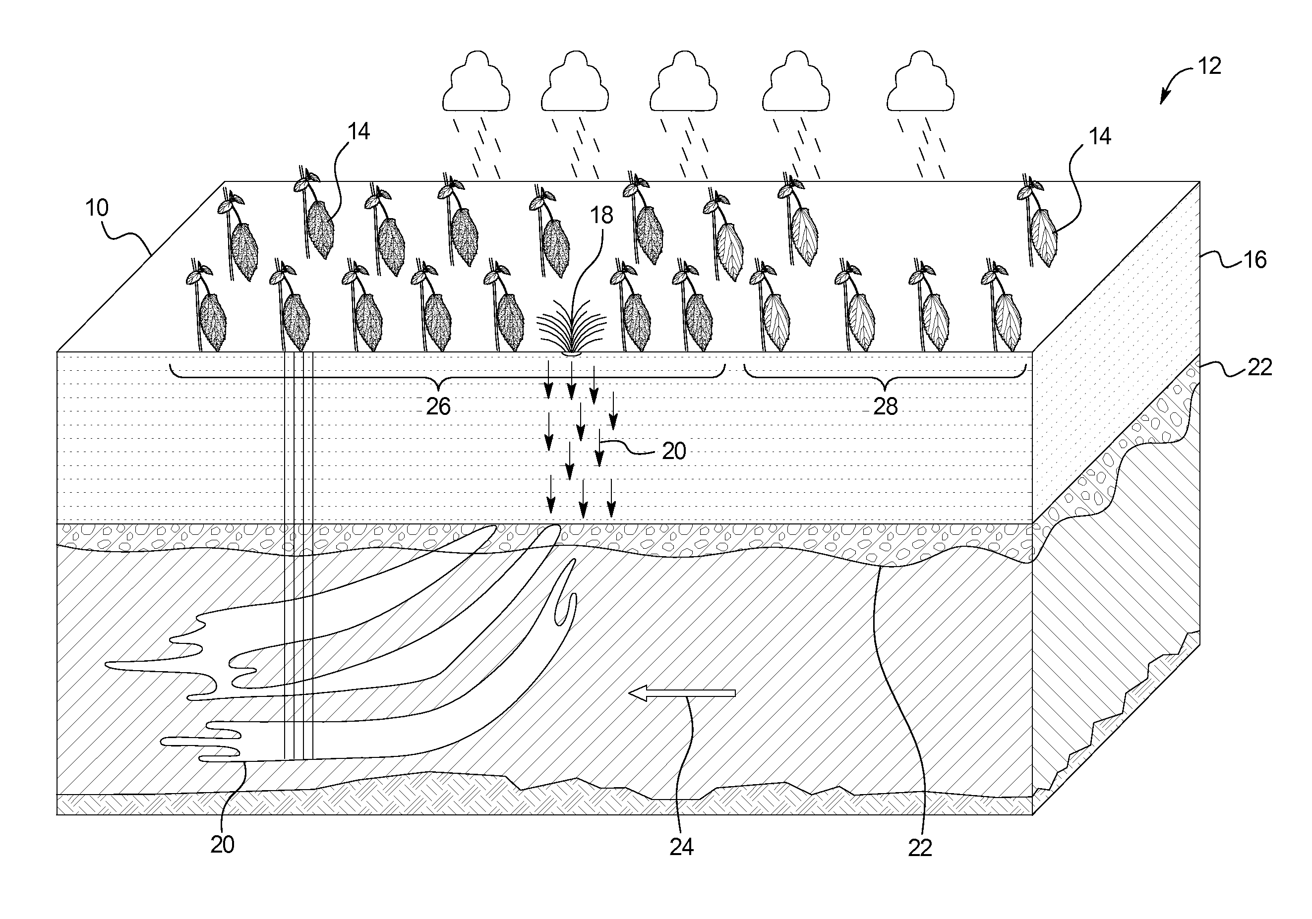 RDX plant indicator system