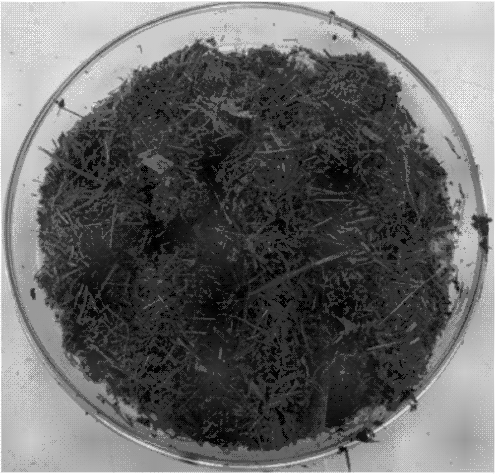 Organic bacterium fertilizer taking sludge as raw material and preparation method thereof