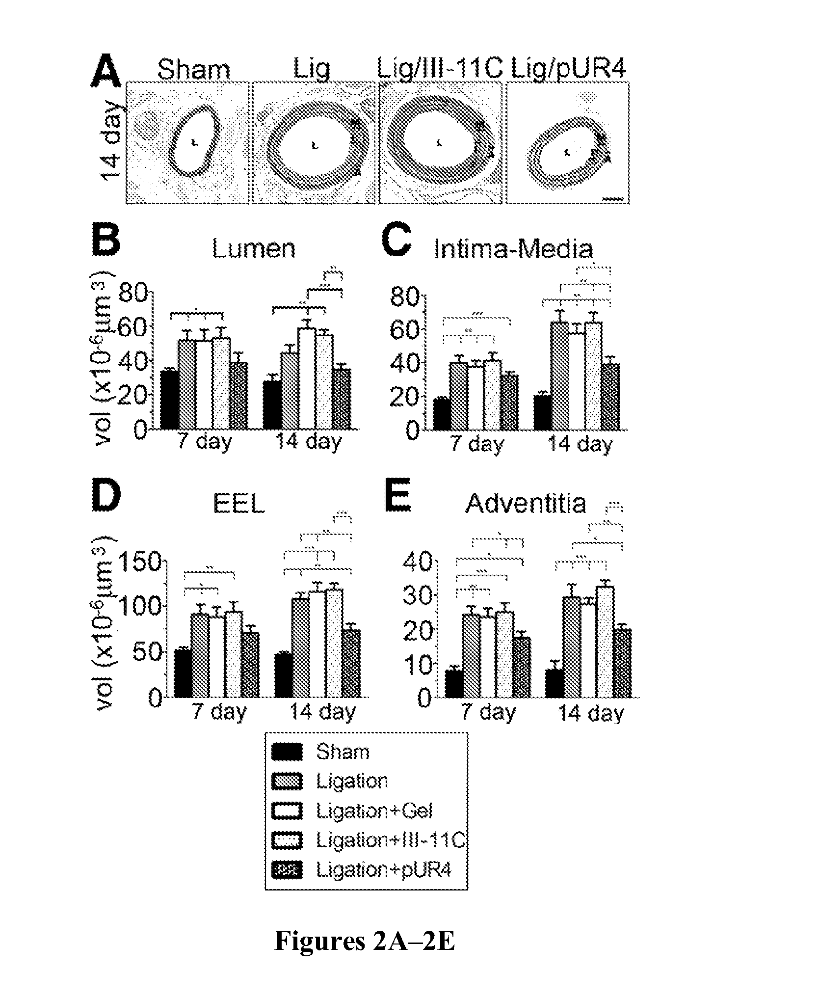 Treatment of fibrosis-related disorders using fibronectin binding proteins and polypeptides