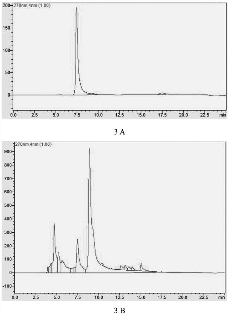 Engineering bacterium for synthesizing salicin as well as construction method and application of engineering bacterium