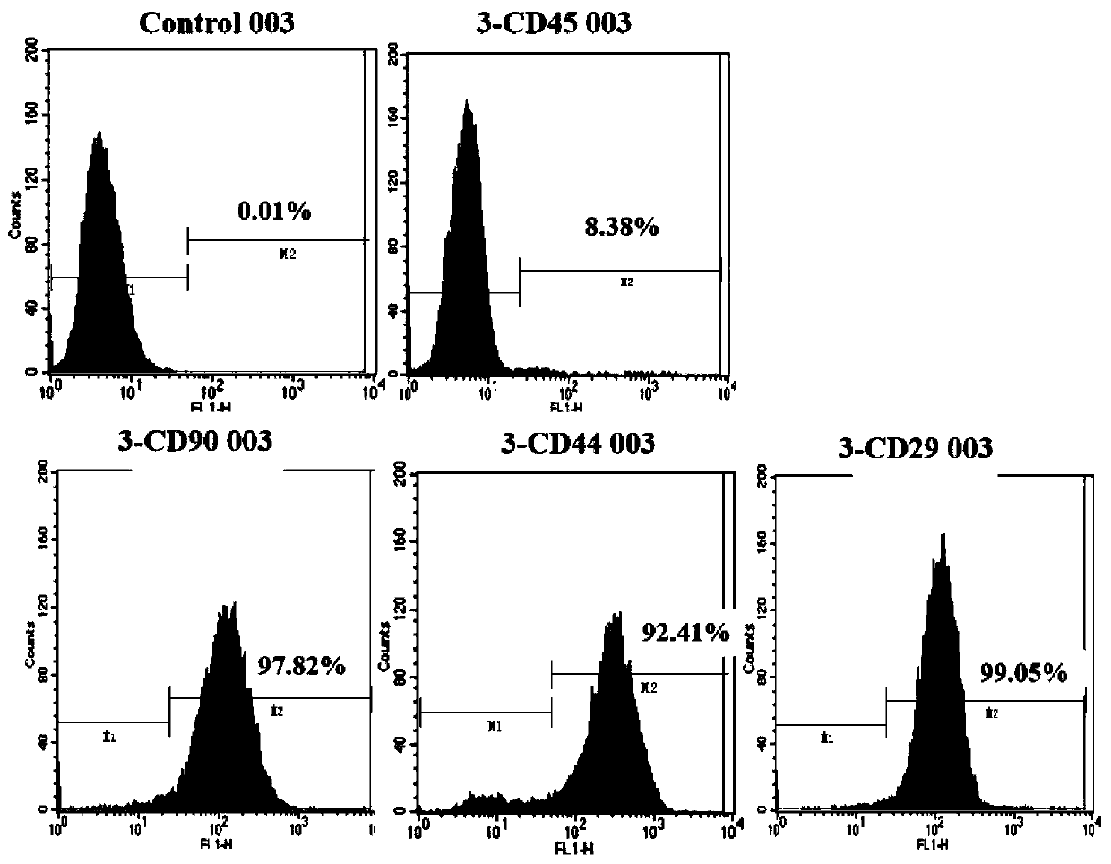 Recombinant adipose-derived stem cells to express gene BDDhFVIII and preparation method and application thereof