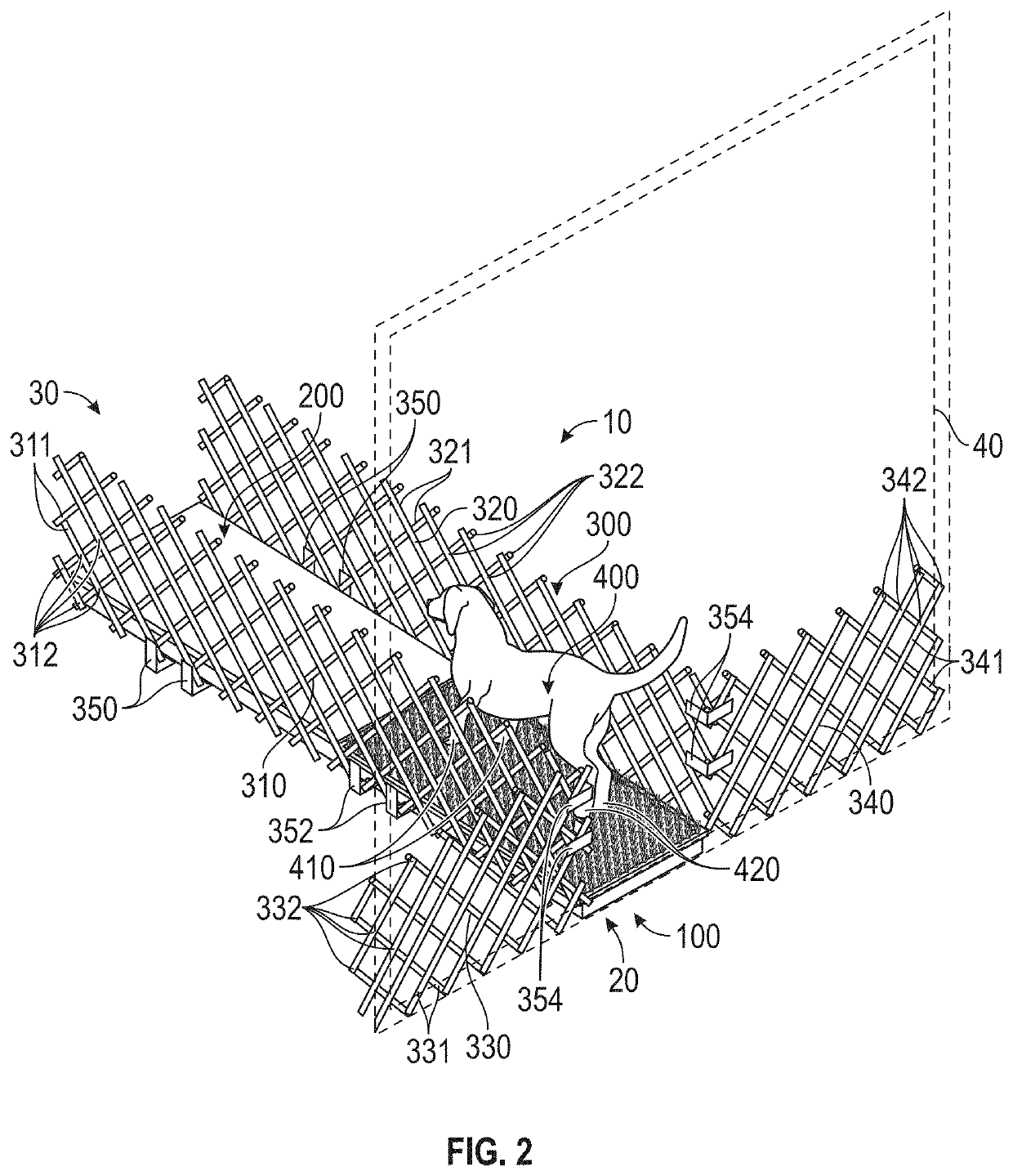 Systems and methods for cleaning an animal's foot