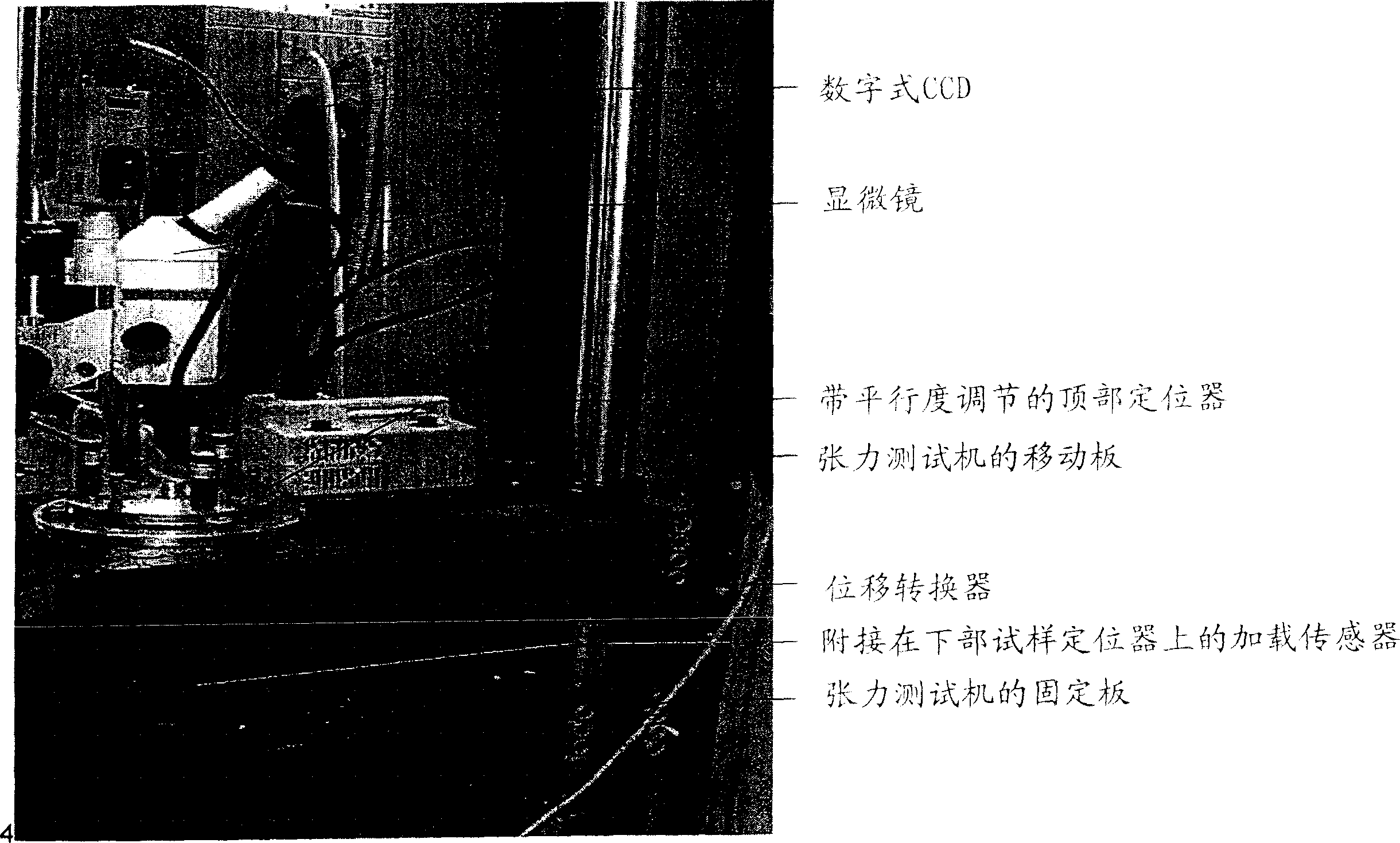 Coated optical fibers