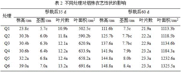 Special composite microbial fertilizer with functions of strengthening seedlings and promoting roots for tobaccos, and preparation method thereof