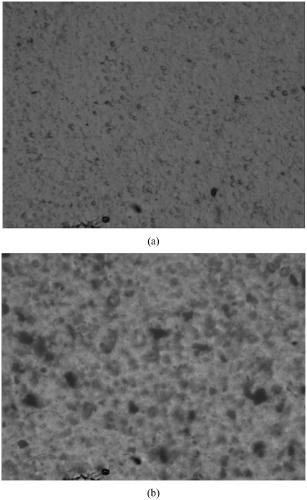 Quaternized lignin dispersed graphene/carbon nano-tube compound anticorrosion coating, preparation method thereof and application of coating