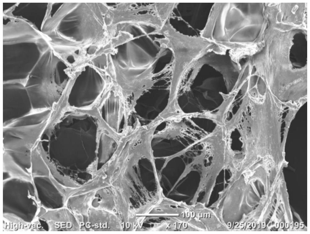 A preparation method of salidroside-collagen sponge scaffold and its application in skin wound repair