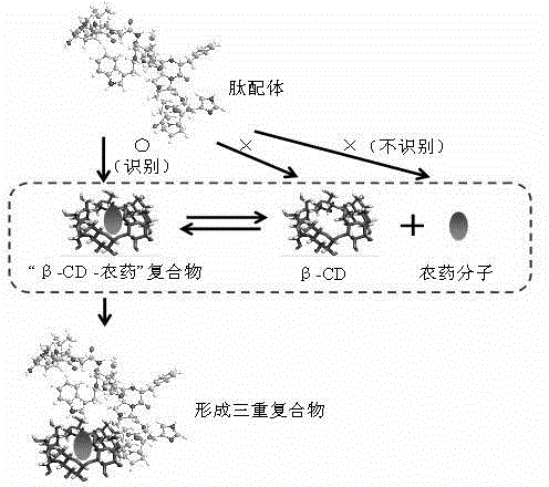 Preparation method of peptide ligand for non-competitive detection of water-soluble pesticide residues