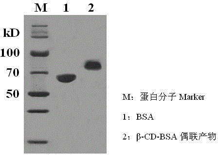 Preparation method of peptide ligand for non-competitive detection of water-soluble pesticide residues
