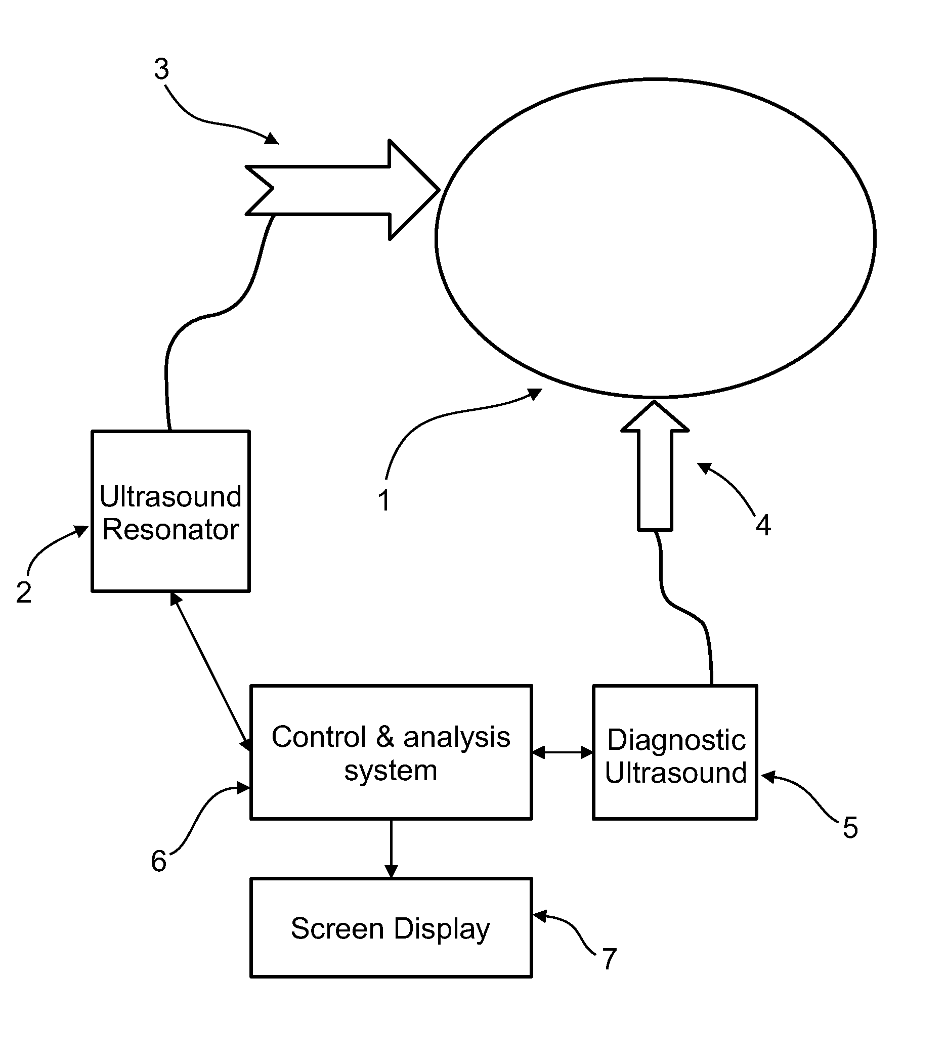 Method and system for tissue imaging and analysis