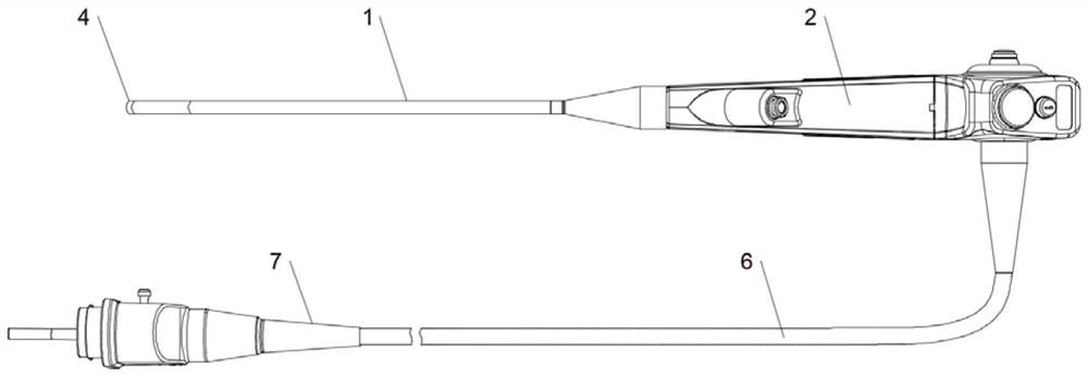 Flexible electronic nephroscope with bendable tail end