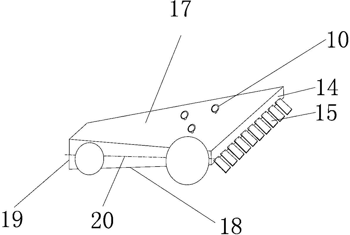 Device and method for collecting Enteromorpha