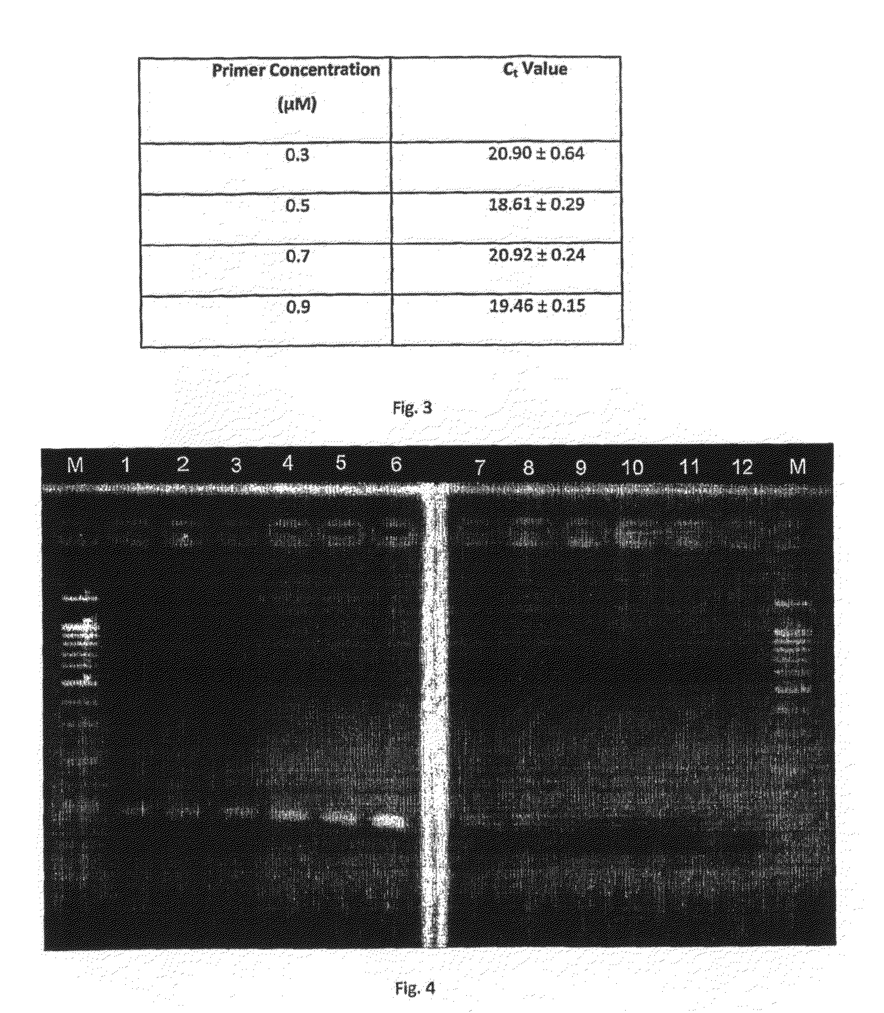 Method for identifying a pork content in a food