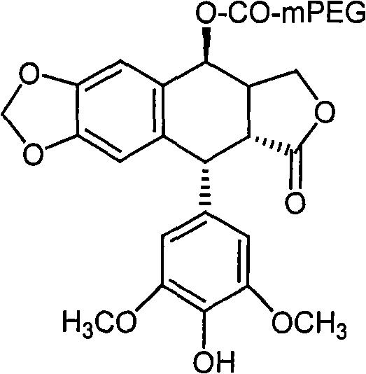 Water-soluble 4í»-nor-epipodophyllotoxin derivant and preparation method thereof