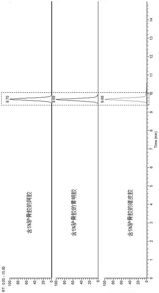 Application of a donkey bone glue characteristic polypeptide in detecting donkey bone glue components in animal hide glue and its products