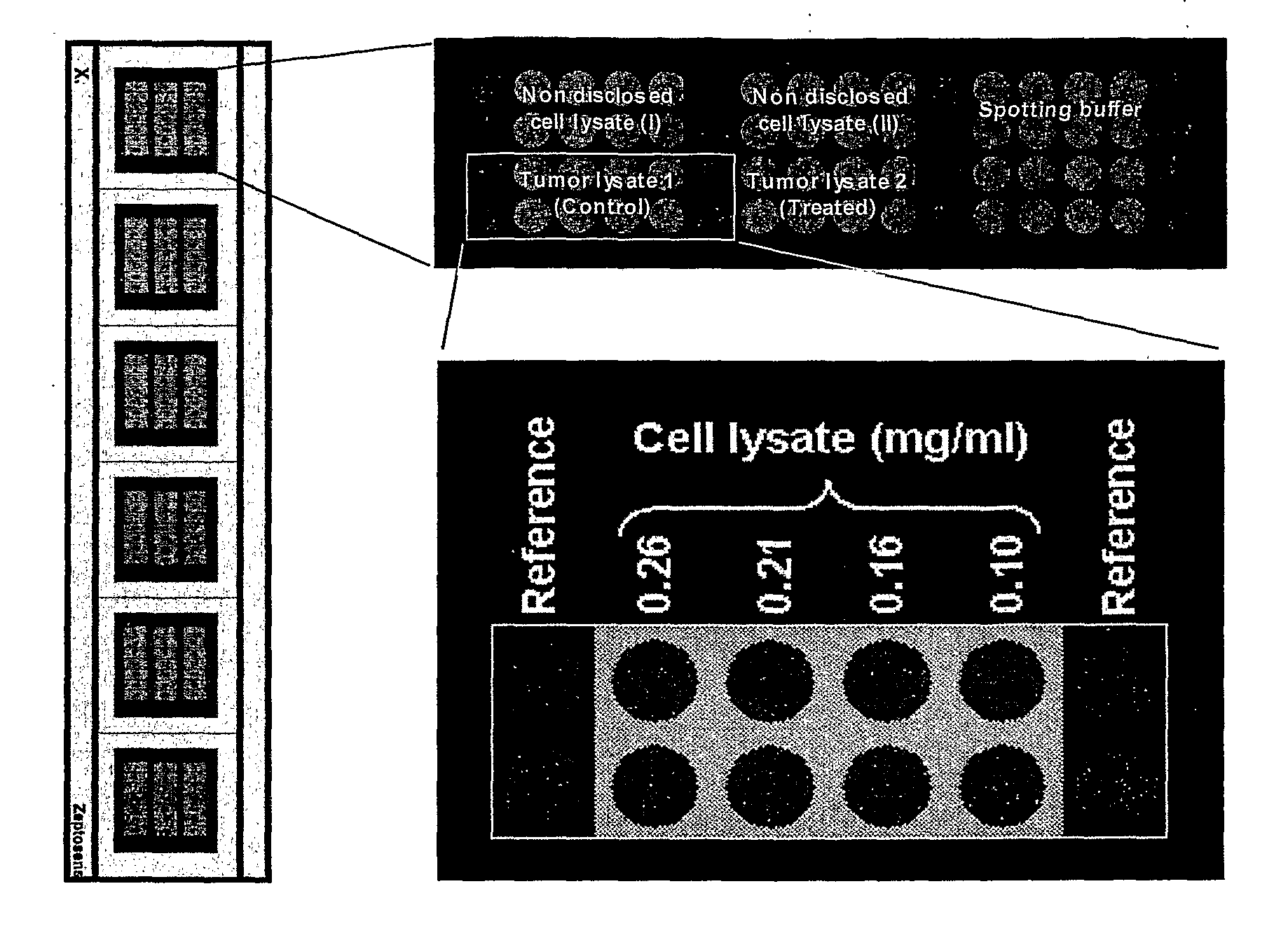 Analytical Platform and Method for Generating Protein Expression Profiles of Cell Populations