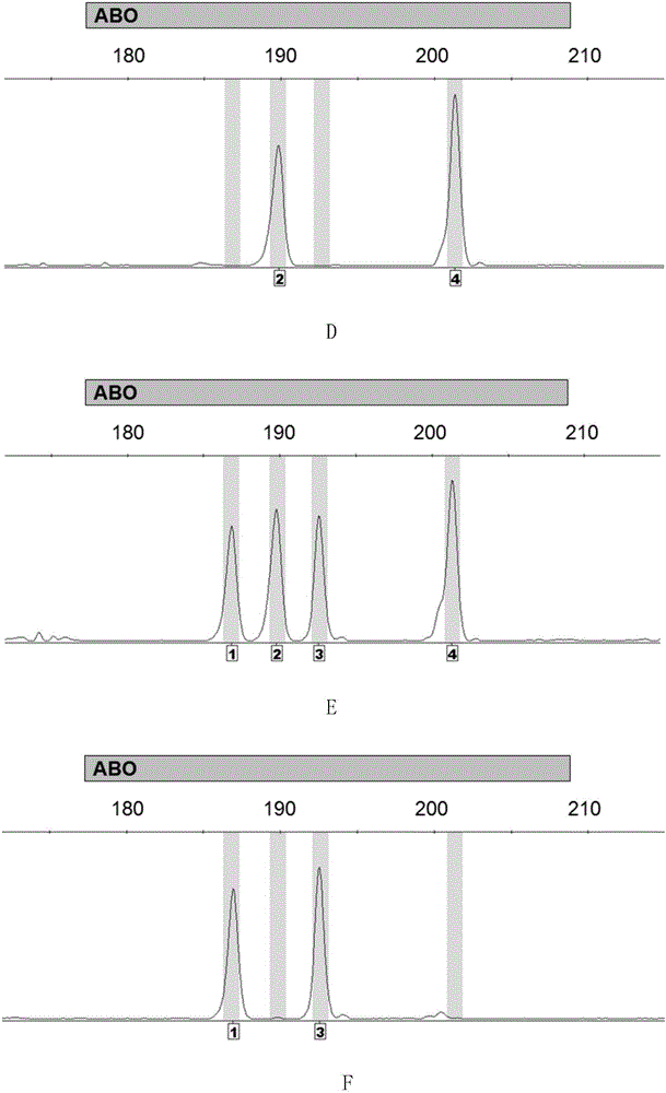 Method for detecting ABO blood-group genotype and template for allelic ladder of ABO blood-group gene locus