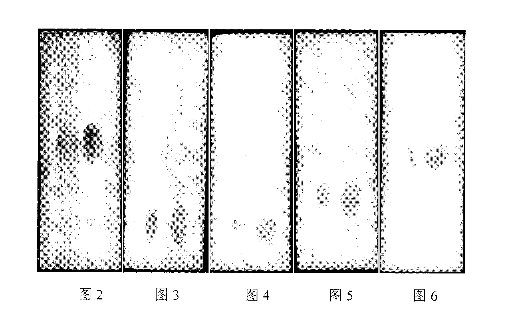 Method for preparing digalactosyldiacylglycerol and application thereof