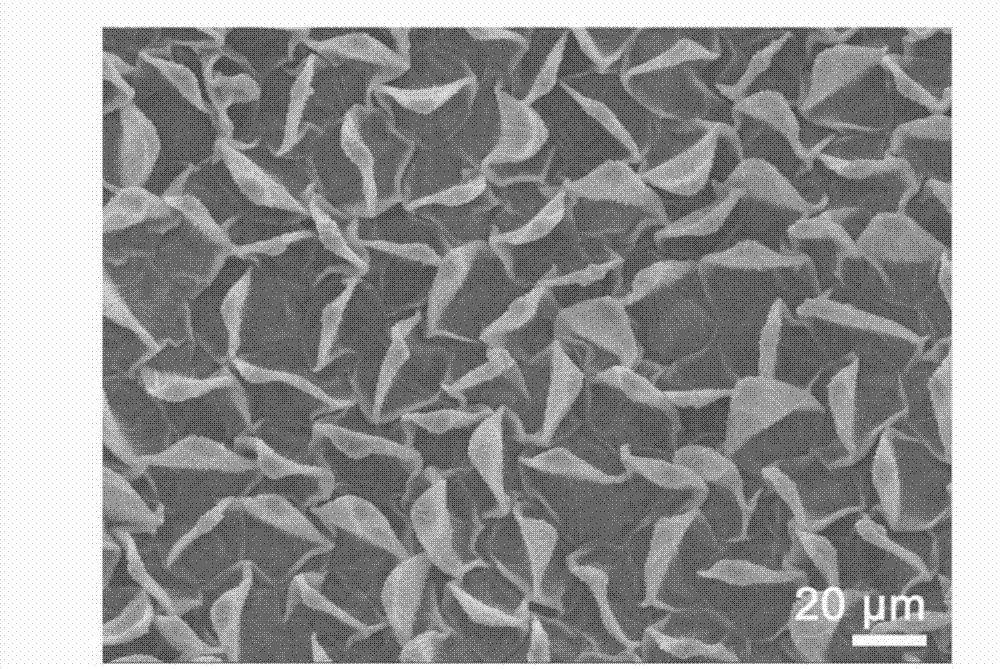 Enhanced Raman detection substrate based on natural biology super-hydrophobic structure surface and preparation method thereof