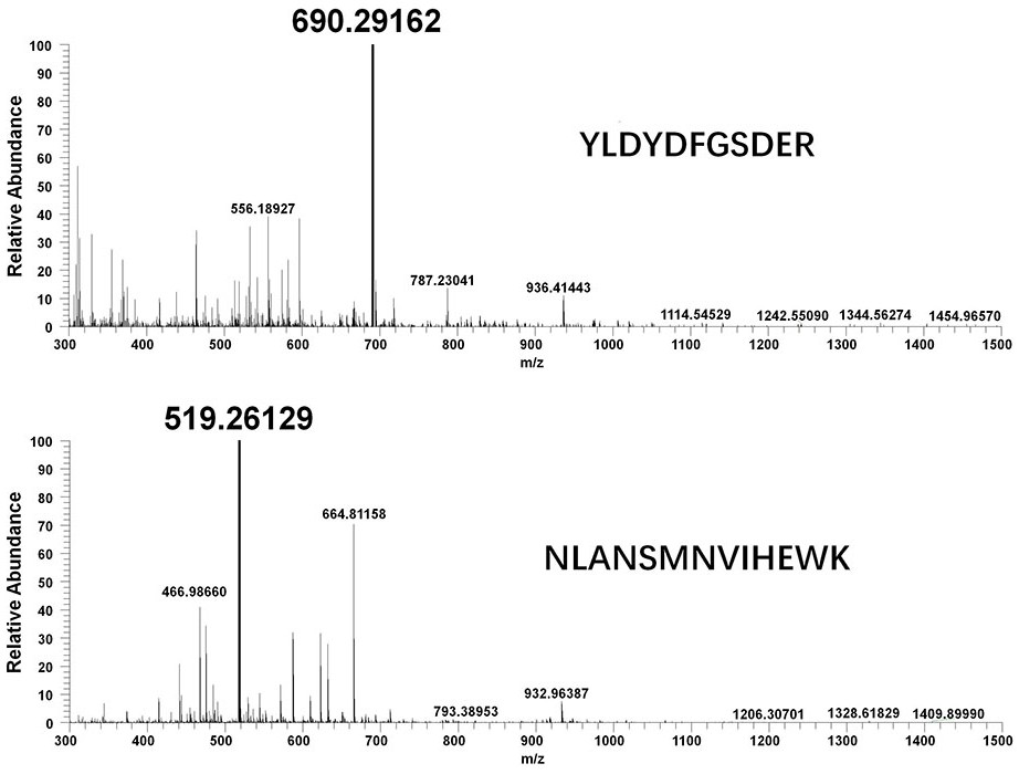 A liquid chromatography tandem mass spectrometry method for the detection of royal jelly major protein 5 in Italian honey and Chinese honey
