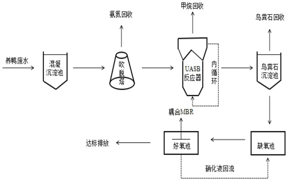Duck breeding wastewater treatment process and resource recovery method