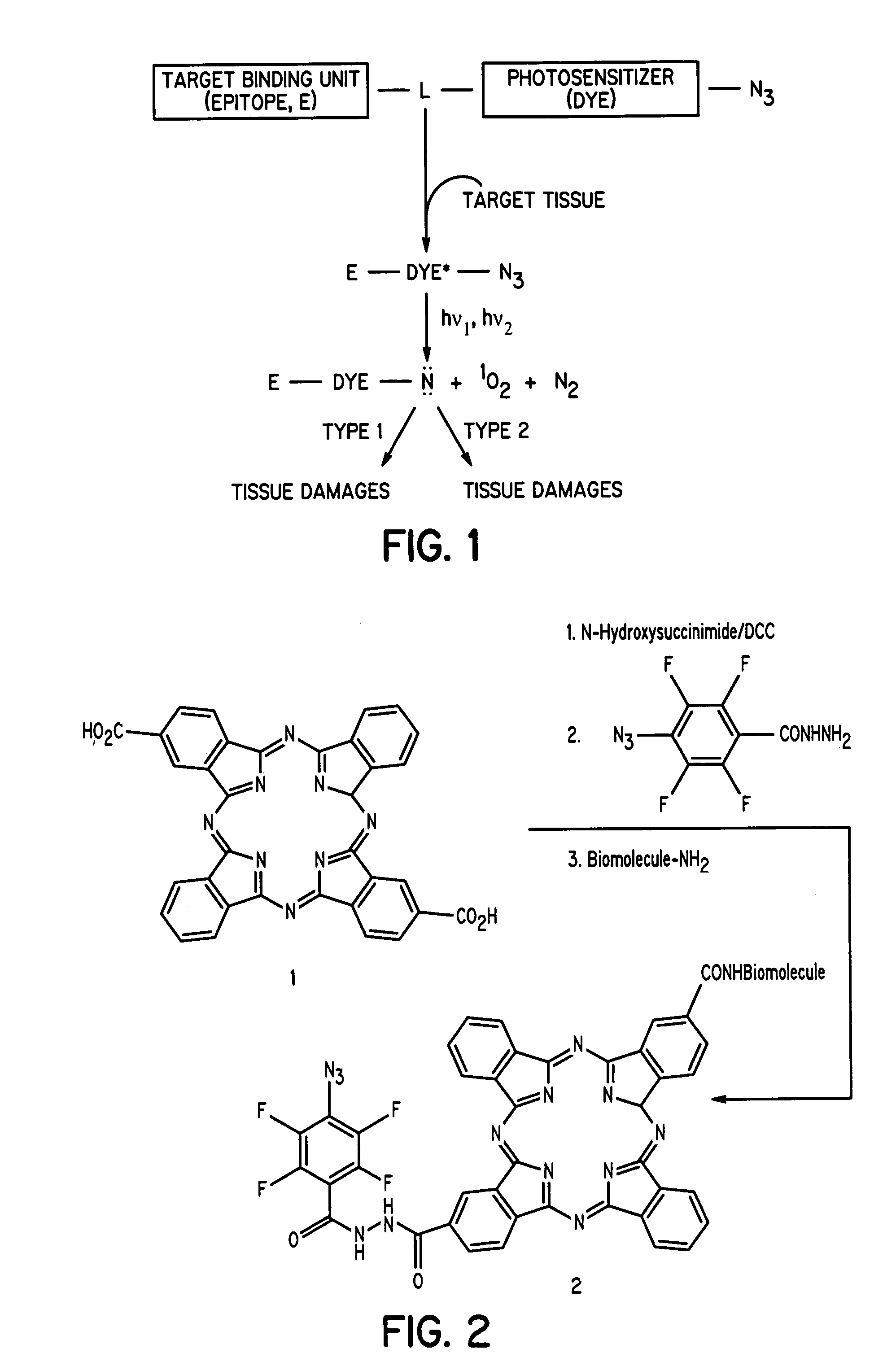Compounds for dual photodiagnosis and therapy