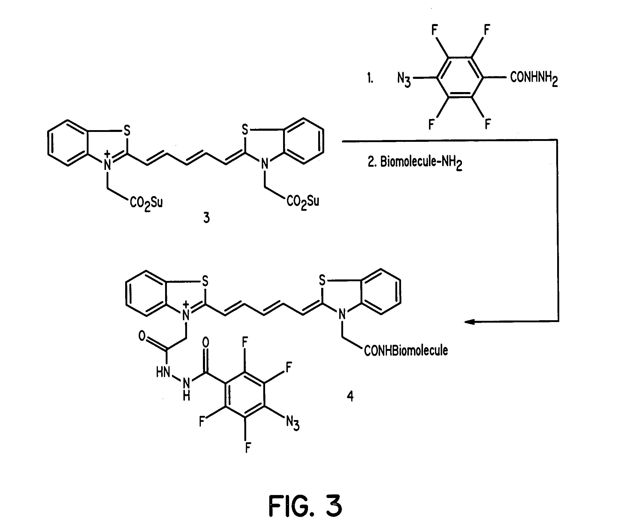 Compounds for dual photodiagnosis and therapy