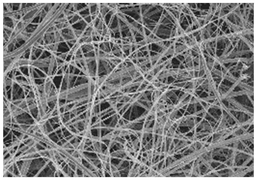 Fucoxanthin composite nanofiber and preparation method thereof