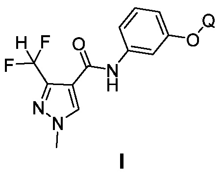 Pyrazole amide compounds and applications thereof