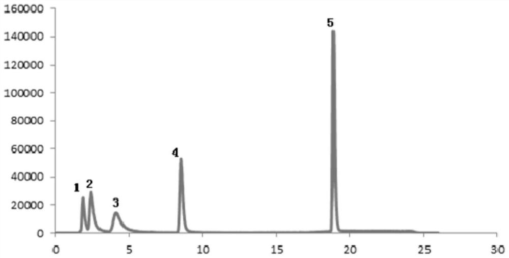 Extraction method of selenoprotein in cardamine violifolia, selenoprotein obtained by extraction method and application of selenoprotein