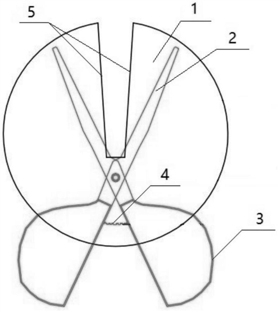 Method for protecting number of wild populations of lactariusvividus