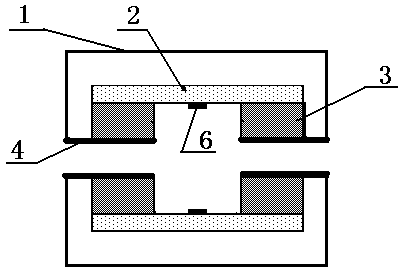 Magnetic flux leakage detection probe