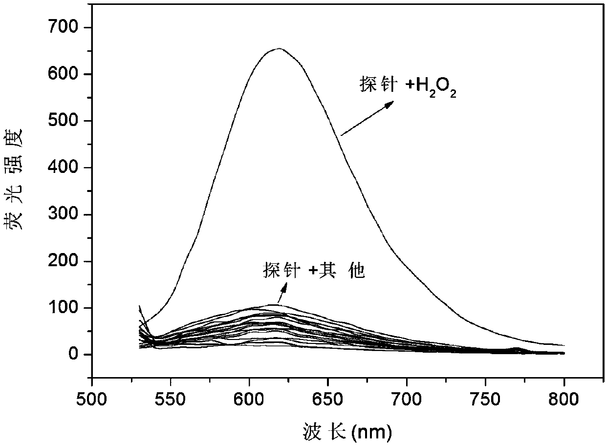 Fluorescent probe used for identifying hydrogen peroxide